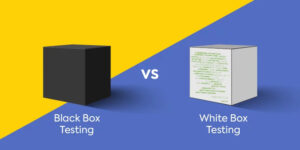 Black Box and White Box Testing: An Overview